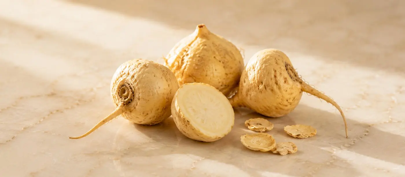 Akar Maca